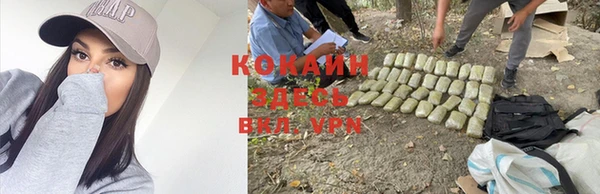 МДПВ Абаза