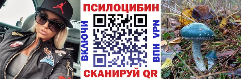 продажа наркотиков  Катав-Ивановск  KRAKEN сайт  Галлюциногенные грибы MAGIC MUSHROOMS 